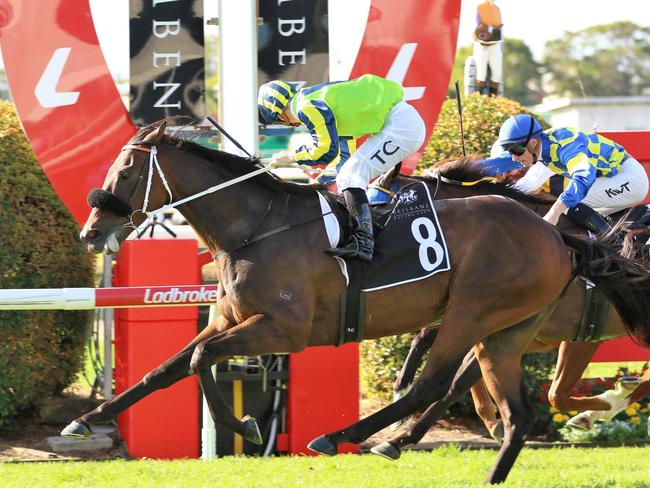 May 13, 2023. Kalapour proved a class above in the Group 3 JRA Chairman’s Handicap at Doomben. Photo: Darren Winningham