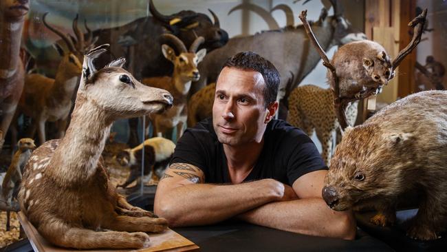 University of Adelaide researcher Dr Bastien Llamas from the Australian Centre for Ancient DNA with mammal specimens at the SA Museum. Picture: Matt Turner