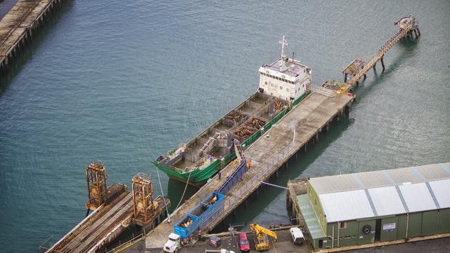 Cattle loading at Stanley wharf. King Island shipping.