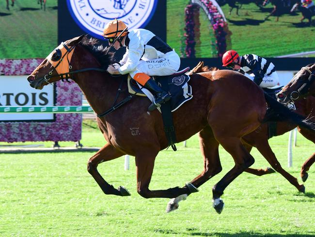 Star Of Michelin winning at Eagle Farm. Picture: Trackside Photography