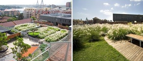 Communal rooftop gardens could be a common feature for Ku-ring-gai buildings.