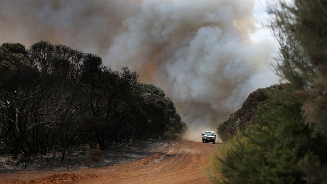 Residents of Kangaroo Island return home to survey the devastation