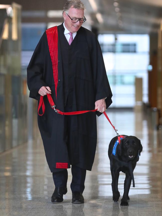 Victorian Federal Circuit and Family Court of Australia has sworn in its first official court facility dog, Poppy. Picture: David Crosling