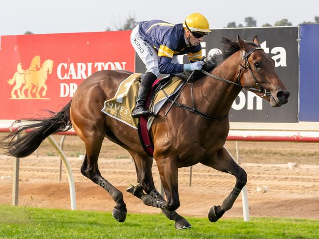 Enxuto, pictured winning at Echuca in May 2024, is Daniel Sankey's best bet of the day at Flemington on New Year's Day. Picture: Jay Town / Racing Photos