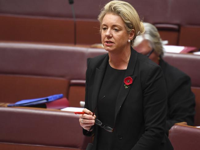 Agriculture Minister Bridget McKenzie. Picture: Lukas Coch