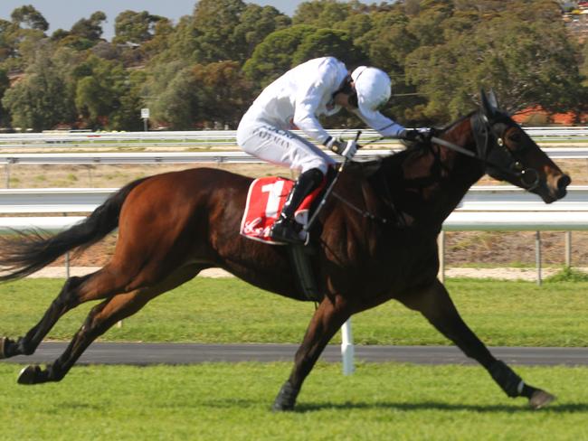 Angelology salutes at Gawler in April. Picture: Emma Brasier