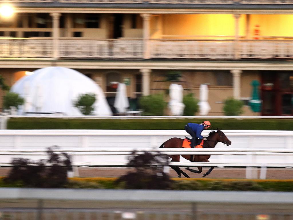 Sunlight, ridden by Sarah Ruttyn, works down the home straight.