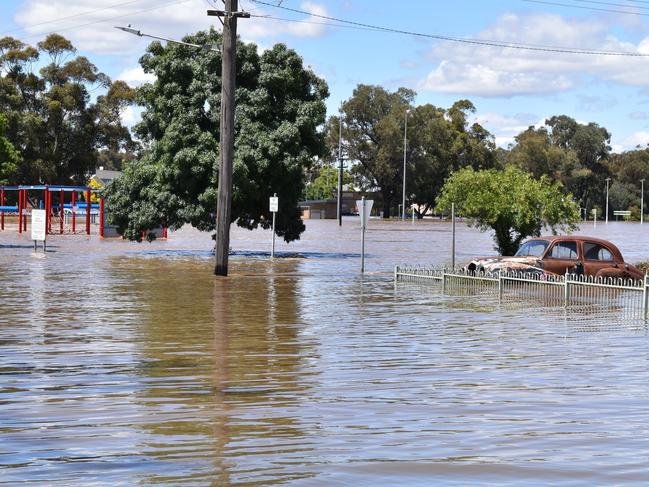 Flood scenes in Forbes today. 17.11.2022   Forbes Shire Council1 h  · Grenfell Street looking towards a sodden Ninja Park. 17 November 2022.