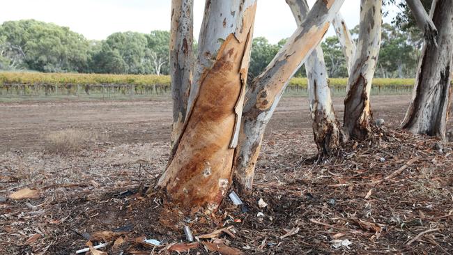 A 17-year-old boy from Strathalbyn has died after his car hit a tree on Lake Plains Road at Lake Plains. Picture Dean Martin