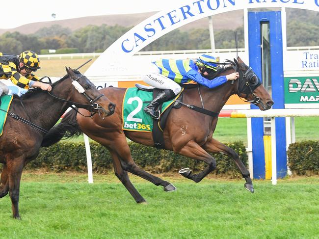 Calico Jack ridden by Jordyn Weatherley wins the Bet365  Muntham Handicap at Casterton Racecourse on May 19, 2024 in Casterton, Australia. (Pat Scala/Racing Photos via Getty Images)