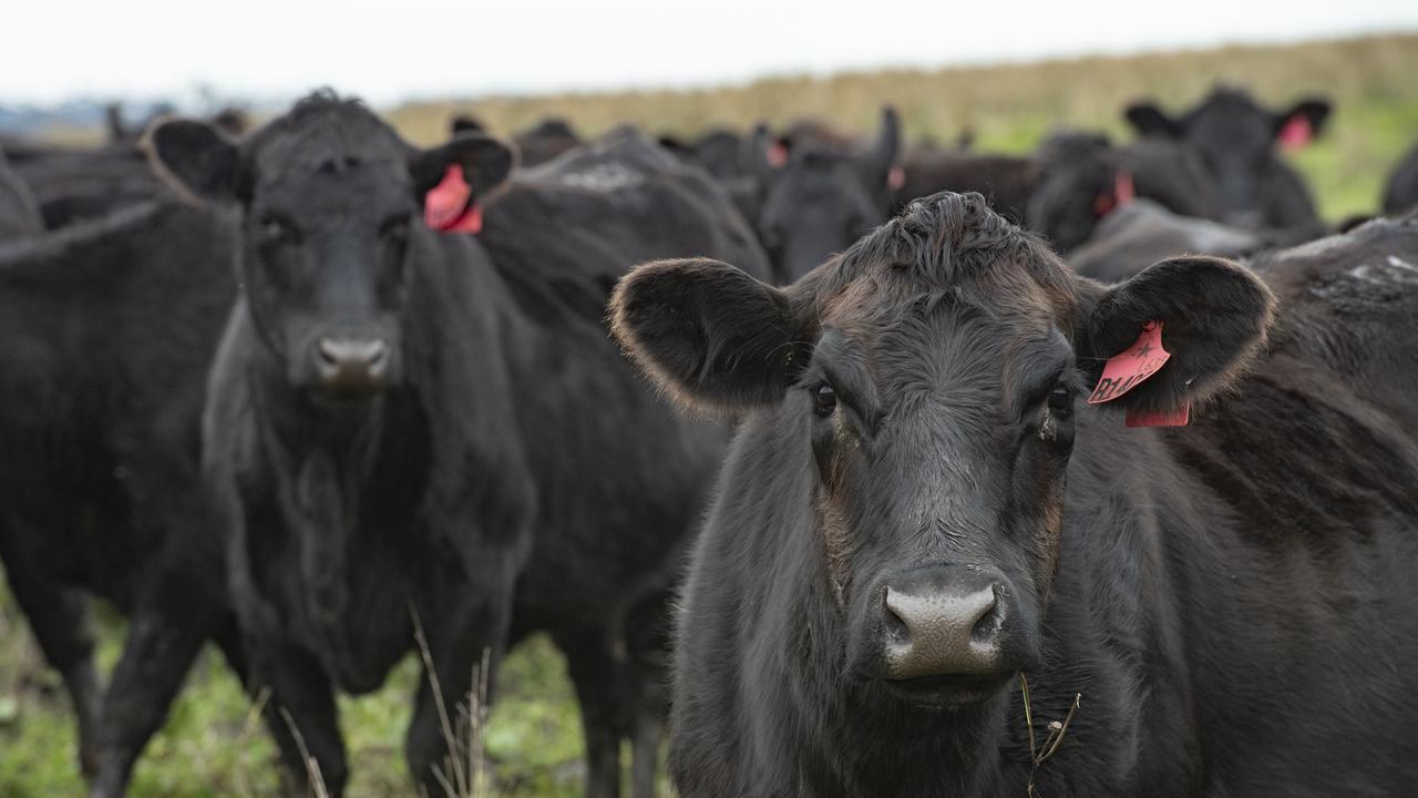 Beef exports to Korea reach trigger level