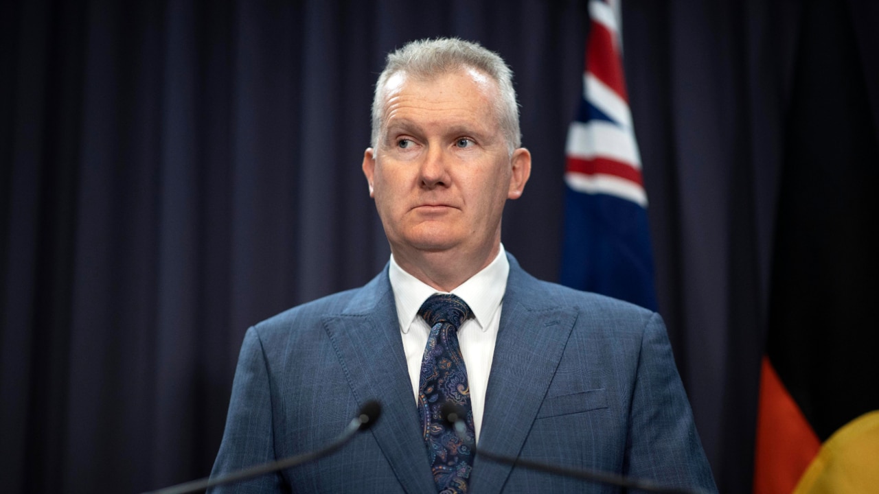 ‘Information that is wrong’: Tony Burke on Secure Jobs, Better Pay Bill