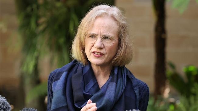 Chief Health Officer Doctor Jeanette Young during a media conference. Picture: Liam Kidston