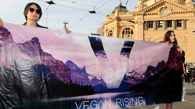 Vegan protesters block the intersection of Flinders and Swanston Street Melbourne in support of animal rights. Picture: Andrew Henshaw