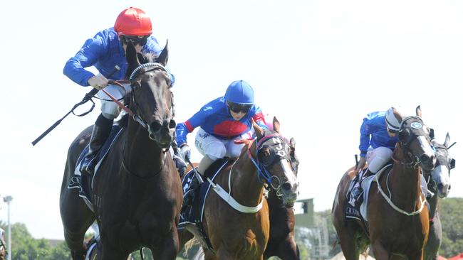 Ghisoni (Race three) is Ray’s best bet from Doomben. Picture: Simon Bullard