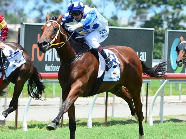 Jockey Paul Hammersley rode the Bryan and Daniel Guy-trained Junction to victory in the QTIS Two-Year-Old Maiden Plate (1200m) at the Gold Coast on Wednesday, January 25. Picture credit: Grant Peters, Trackside Photography.