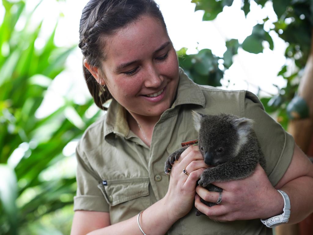 Head zookeeper Renee Howell with Sapphire. Picture: NCA Newswire/Gaye Gerard