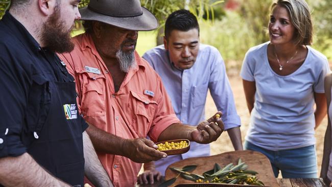 Bush Tucker experience with Voyages indigenous Tourism Australia