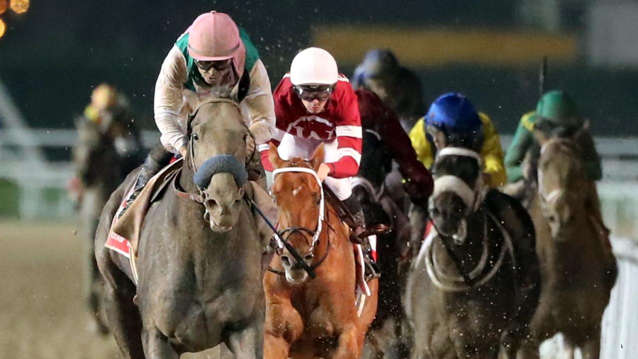 Saudi Cup to be world’s richest horse race, 29.5 million in prizemoney