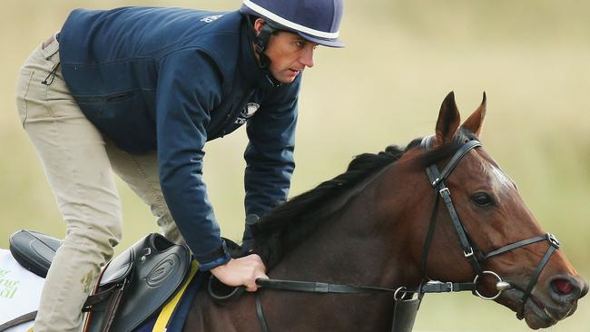 Wall Of Fire will run first-up in The Metropolitan. Picture: Getty Images