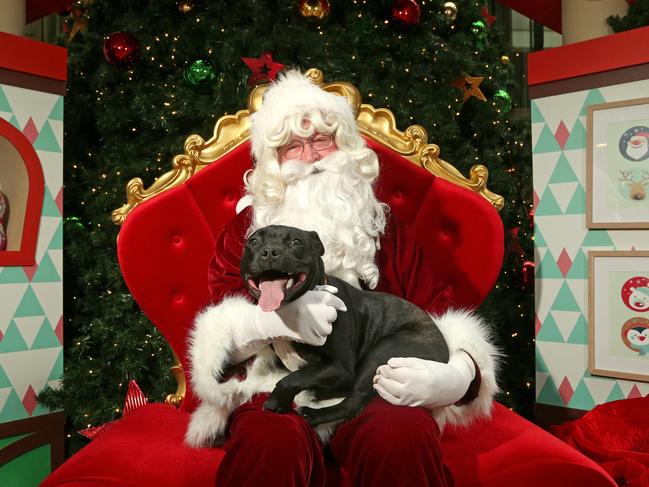 Your furbaby can get a photo with Santa at Greensborough Plaza (pictured) and other centres around Melbourne. Picture: Hamish Blair