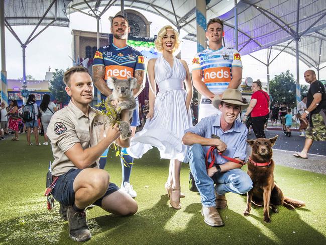 Gold Coast Titans players Nathan Peats and AJ Brimson with Village Roadshow’s Deane Jones with koala 'Alinta', Marilyn Monroe and Brent Berg with 'Red Dog'. Picture: NIGEL HALLETT