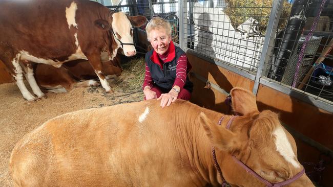 Gina Ryan, 81, from Glenburn, with her cow Glenview Dell Unique.