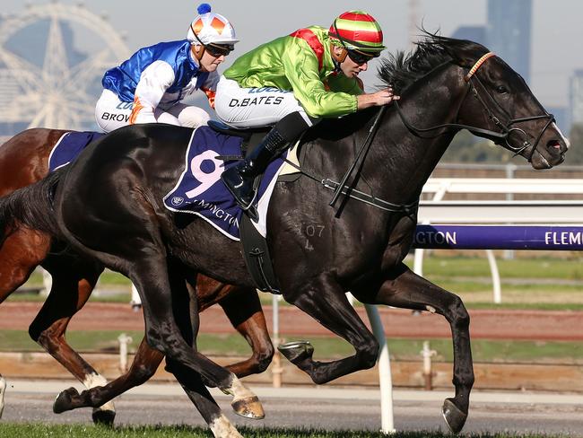 Begood Toya Mother gives his rivals windburn at Flemington this month.