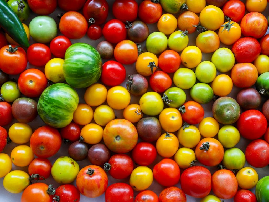 Fresh fruit and vegetables grown at Duck Foot Farm. Picture: Jenifer Jagielski