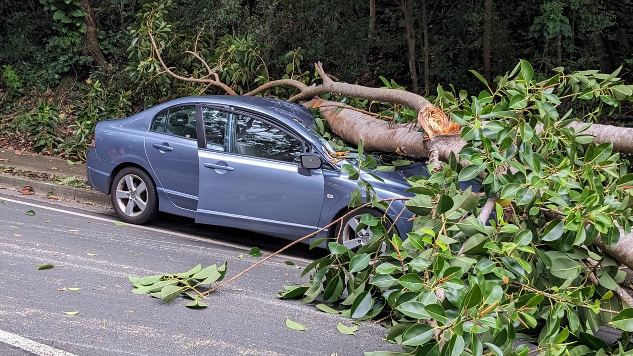 The scene of a tree branch accident on Cogill Rd, Buderim. The driver, a man, escaped unharmed. Photo: Craig Allingham