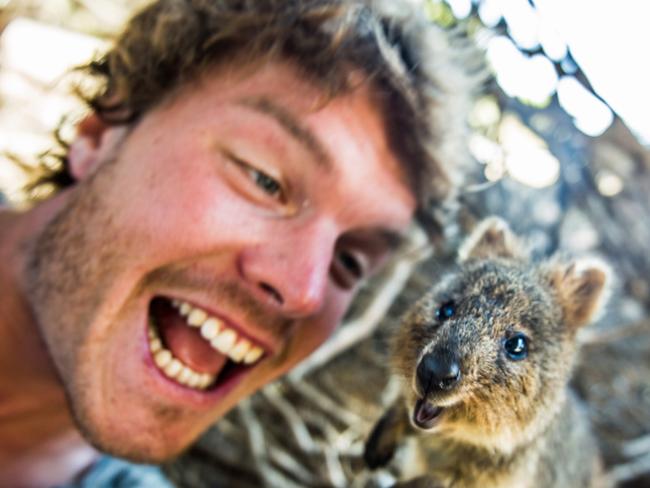 Allan Dixon’s animal selfies - quokka. Pic: @Daxon/Caters News