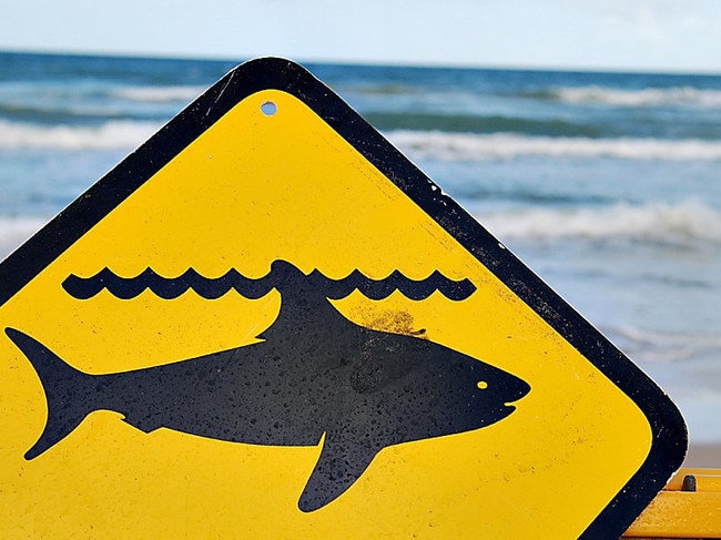 Sharks warning sign.