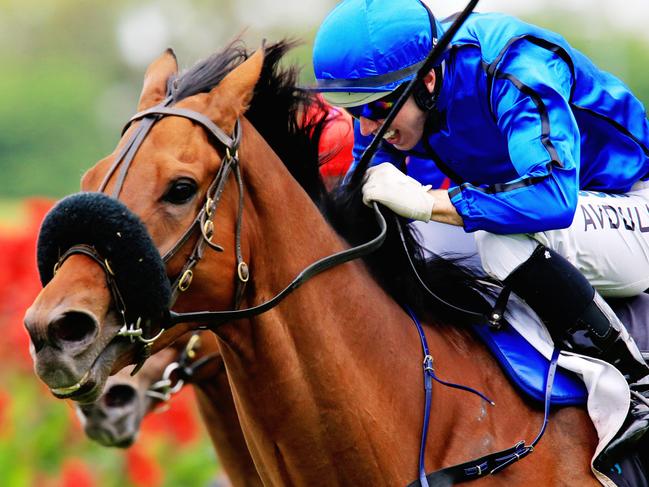 Happy clapper ridden by Brenton Avdulla wins race 7  during the races  at Rosehill Gardens. Pic Jenny Evans
