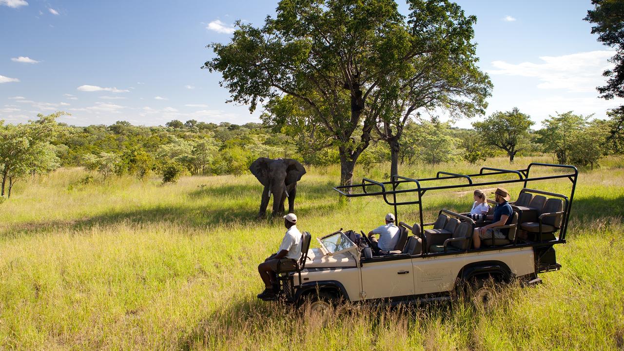 Best things to pack for African safari: Forget adventure clothing