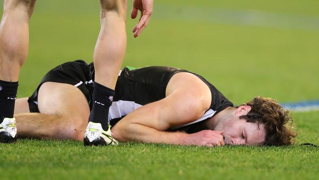 Collingwood’s Matt Scharenberg is hurt after a friendly fire incident with Levi Greenwood. Picture: Michael Klein