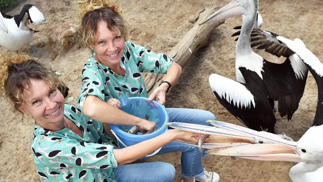 Bridgette and Paula Powers from Twinnies Pelican & Seabird Rescue.