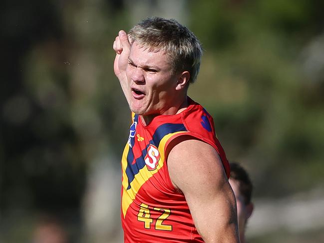 Tyler Welsh is another name to watch in this year’s draft. (Photo by Sarah Reed/AFL Photos via Getty Images)