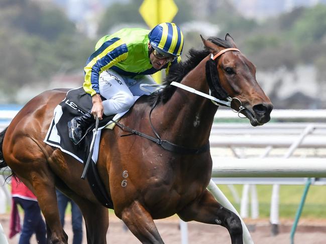 Kalapour (IRE) ridden by Damien Oliver wins the Lexus Archer Stakes at Flemington Racecourse on November 04, 2023 in Flemington, Australia. (Photo by Pat Scala/Racing Photos via Getty Images)