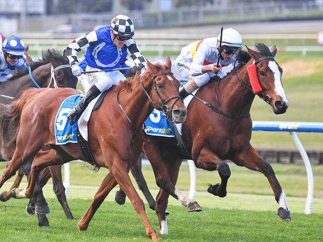 My Brothers Keeper ridden by Stephen M Brown wins the Sportsbet Feed Handicap at Sportsbet Sandown Lakeside Racecourse on August 14, 2024 in Springvale, Australia. (Photo by Pat Scala/Racing Photos via Getty Images)