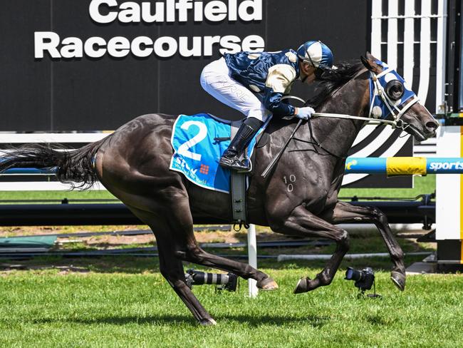 Immediacy (NZ) ridden by Luke Currie wins the Stow Storage Autumn Classic at Caulfield Racecourse on February 24, 2024 in Caulfield, Australia. (Photo by Reg Ryan/Racing Photos via Getty Images)