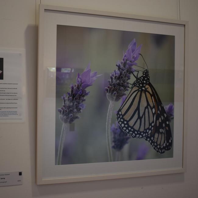 Lorraine Maskell’s photograph titled “Spring” in the collection “Photos from the farm”. (Picture: Kristen Camp)