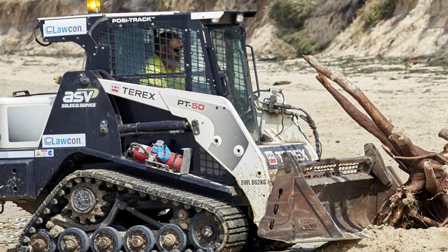 Workers clear tree trunks that have fallen onto the beach due to erosion.