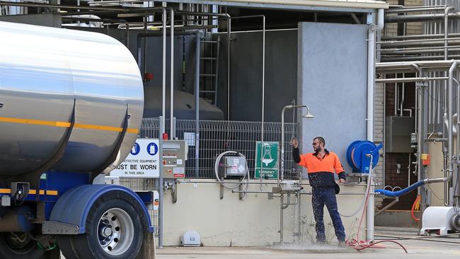 The Murray Goulburn factory in Rochester. Picture: Mark Stewart