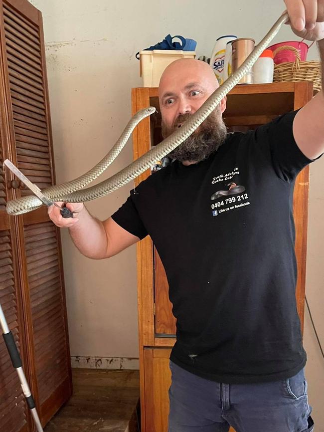 Daniel McCulloch of South Adelaide Snake Catchers with his big snake catches. Pictures: Supplied