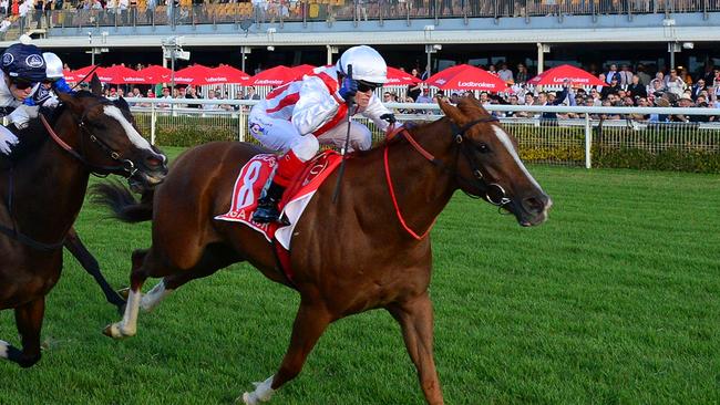 Giga Kick will be ridden by Mark Zahra in The Everest. Picture: Grant Peters/Trackside Photography