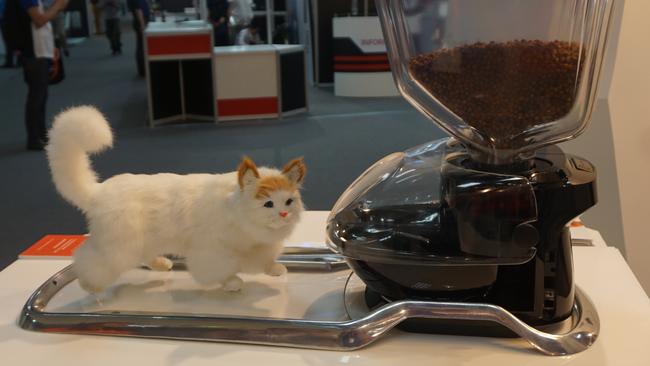 The CatFi app and cat feeding device at the Computex computer fair in Taiwan.