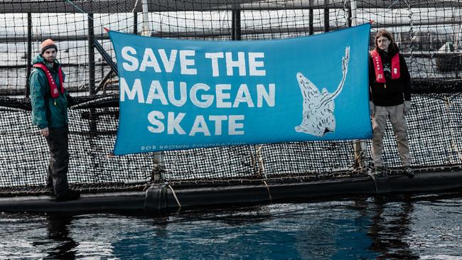 Bob Brown Foundation activists putting a banner up on a salmon pen in Macquarie Harbour. Picture: Supplied.