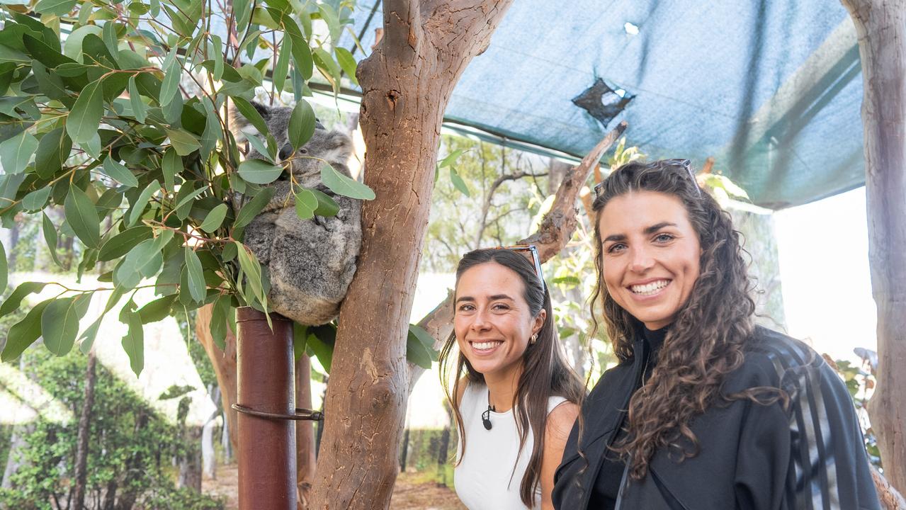 Superstar Olympic gold medallist sisters Noemie Fox, left, and sister Jessica Fox, meet their namesake joey koala, 10-month-old Fox, at Wild Life Sydney Zoo in the same week an island at Penrith Whitewater Stadium was named after their family. Picture: supplied