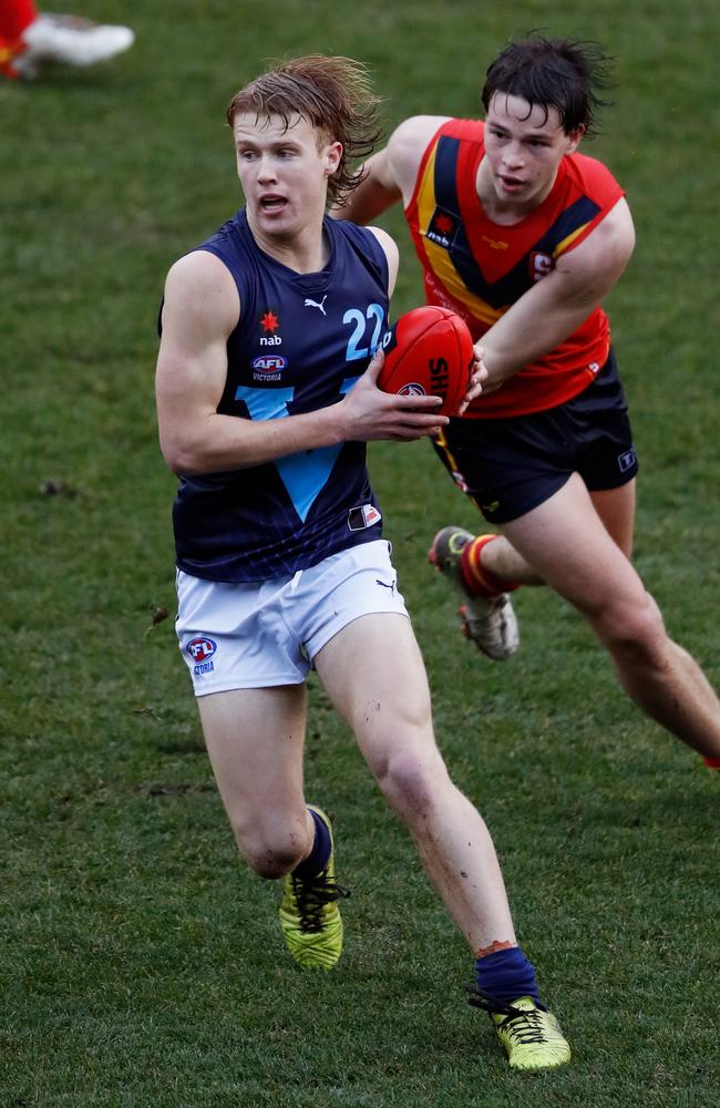 Cameron Mackenzie is out of the fabled Brighton system. Dylan Burns/AFL Photos via Getty Images