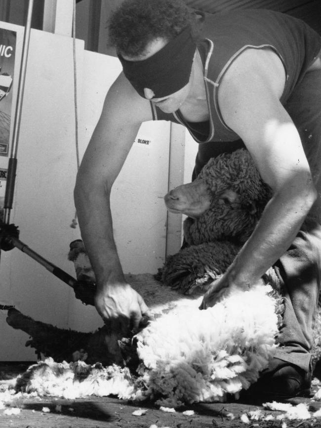 Rodney Buick, claimed the world record for shearing sheep blindfolded at the Murray Bridge Show in October 1988.